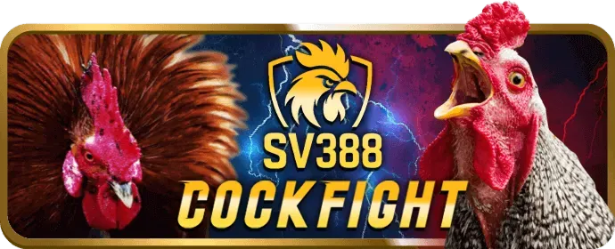 Khuyến mãi hoàn trả cược thể thao hàng tuần với biểu tượng hoàn tiền và logo fub88 win